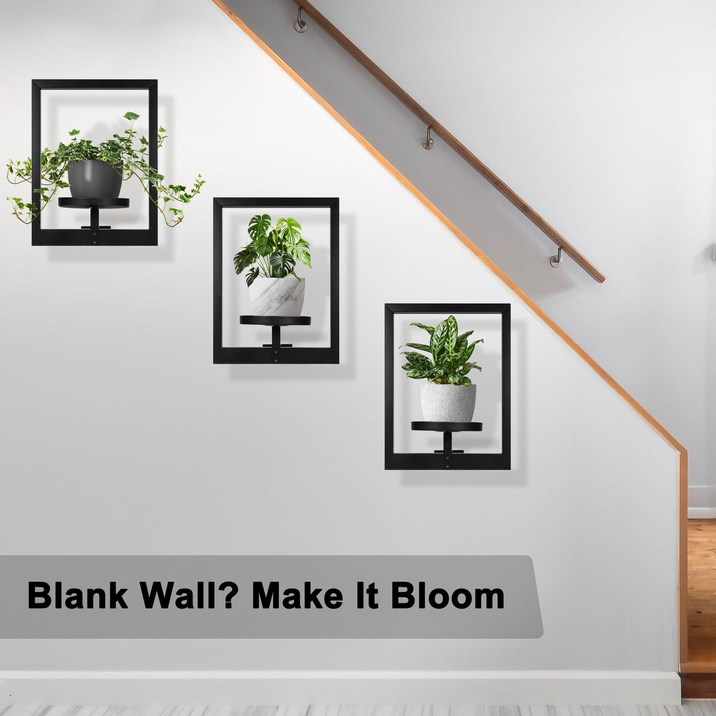 Wacloud Heavy-Duty Wall Planters for Indoor Plants, Modern Metal Hanging Plant Holders, Picture Frame Wall Plant Shelves for Living Room, Balcony, Patio, Window Garden Décor, 3-Pack