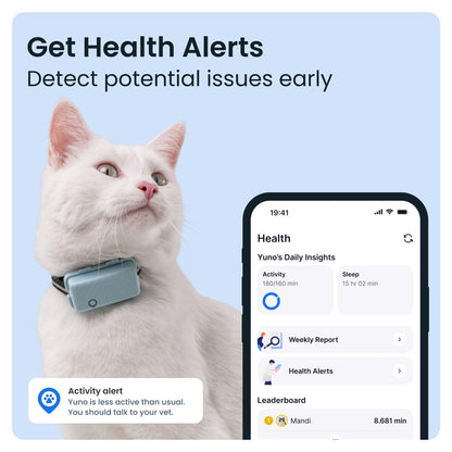 Tractive Mini GPS Cat Tracker | Market Leader | Real-Time Location Tracking | Location History | Monitor Activity | Collar Included
