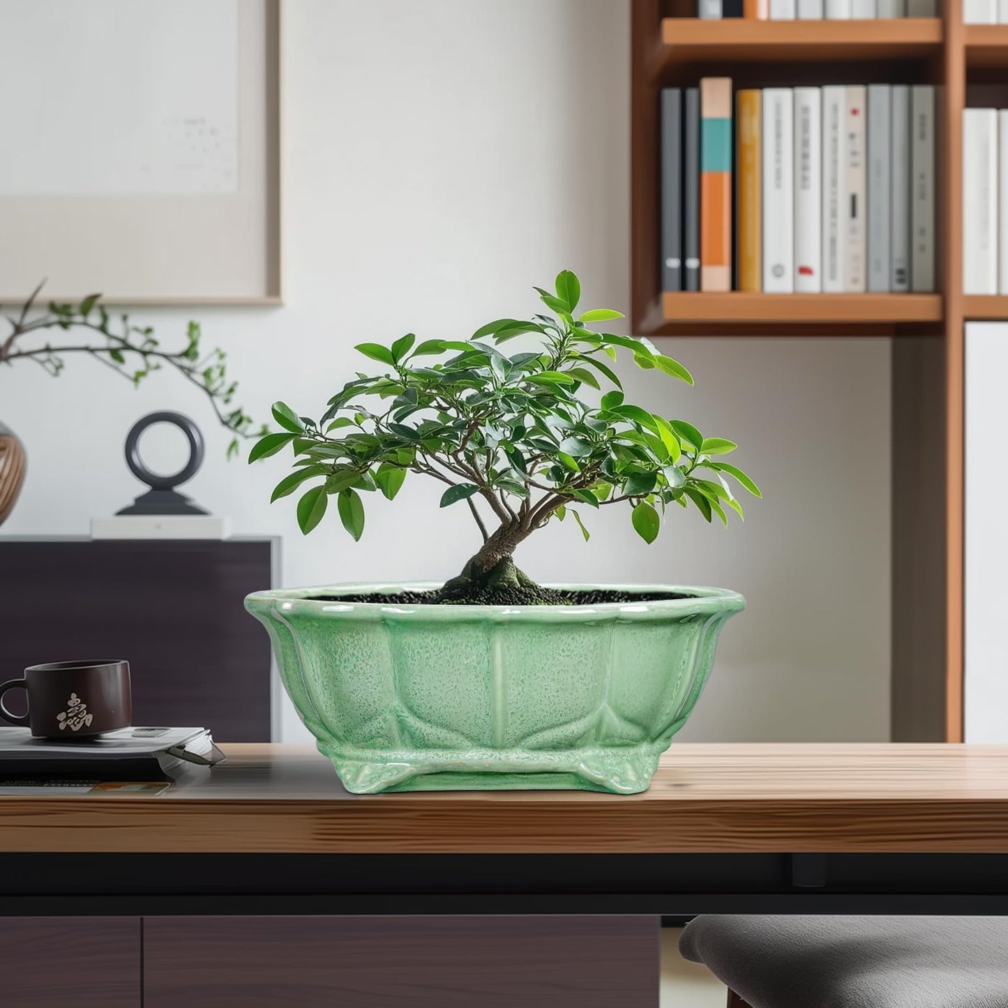 Teagas Bonsai Pots 11 Inch - Ceramic Succulent Pots with Drainage Hole, Oval Planter for Indoor Outdoor, Decorative Ceramic Flower Pot, Home Garden Room Decor, Plant Lover Gifts, Green