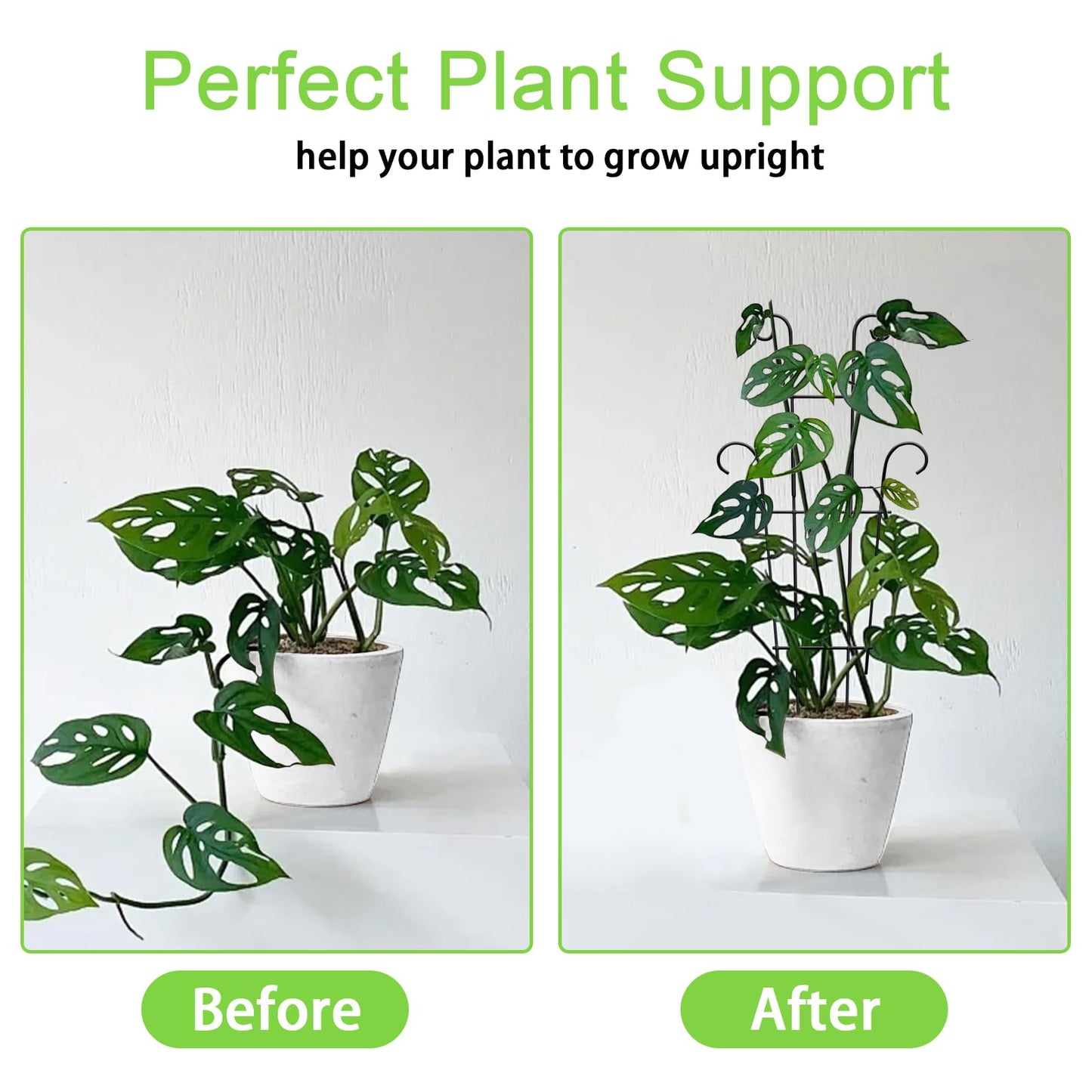 Xeeol Plant Trellis for Potted Plants 2p, Larger 23in Garden Trellis for Climbing Plants Indoor Outdoor, Rustproof House Plant Support Stakes for Pothos Hoya Ivy Flower