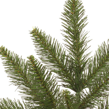 Vickerman 16" Camdon Fir Artificial Christmas Wreath - Unlit - Pack of 2 - Faux Holiday Wreath - Indoor Seasonal Home Decor - Reliable and Durable - Realistic Looking Wreath