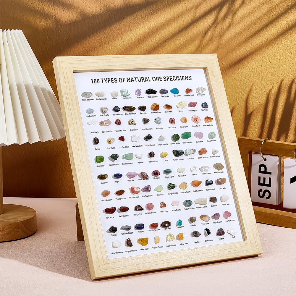 PH PandaHall 100pcs Natural Stones Collection Box Natural Crystal Gemstones Collection Rock Specimen Display Case Gem Stone Decor Shadow Box for Home Office Desk Decoration Birthday Gift Giving