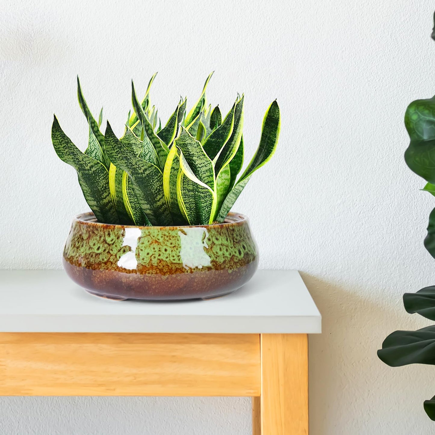 ARTKETTY Succulent Pots - 8 Inch Plant Pot, Large Bonsai Pots with Drainage, Ceramic Planters for Indoor Outdoor Plants, Round Shallow Cactus Flower Plant Container Bowl Decorative Home Garden
