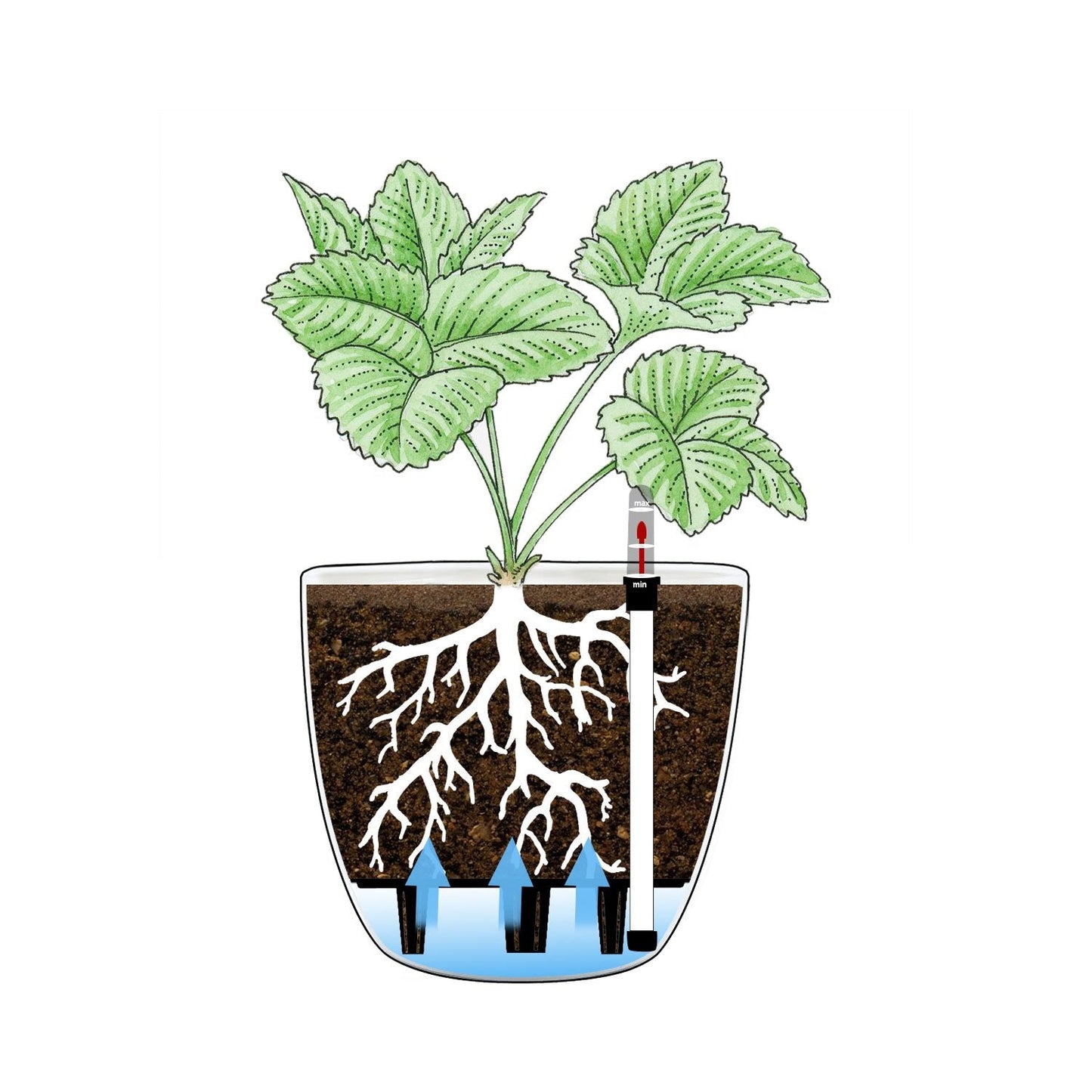 T4U 15CM Self Watering Plant Pots, Plastic Plant Pots Pack of 4, Self Watering Planter with Water Level Indicator, White Plant Pots Indoor Outdoor, Indoor Plant Pots for House Plants Flower Herb