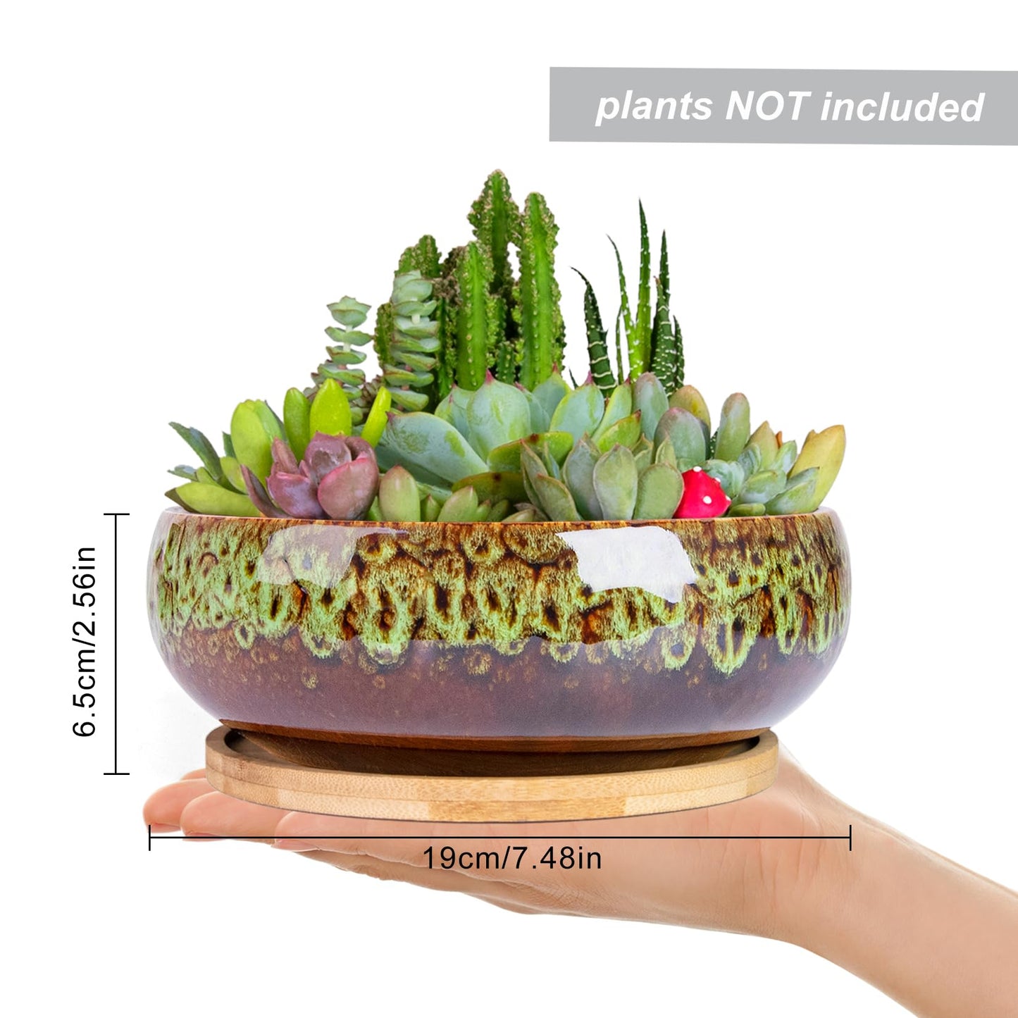 ARTKETTY Succulent Pots - 7.5 Inch Large Plant Pot with Bamboo Tray, Shallow Bonsai Pots with Drainage, Ceramic Planter for Indoor Plants, Cactus, Home Office Desk Decor