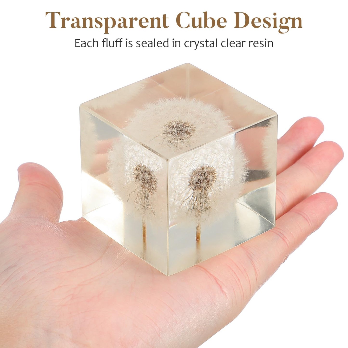Real Dandelion Specimen in Crystal Clear Resin Cube, 2 Inch 3D Preserved Dandelion Puff Paperweight with Wooden Box, Natural Plant Decor for Home Office Gift