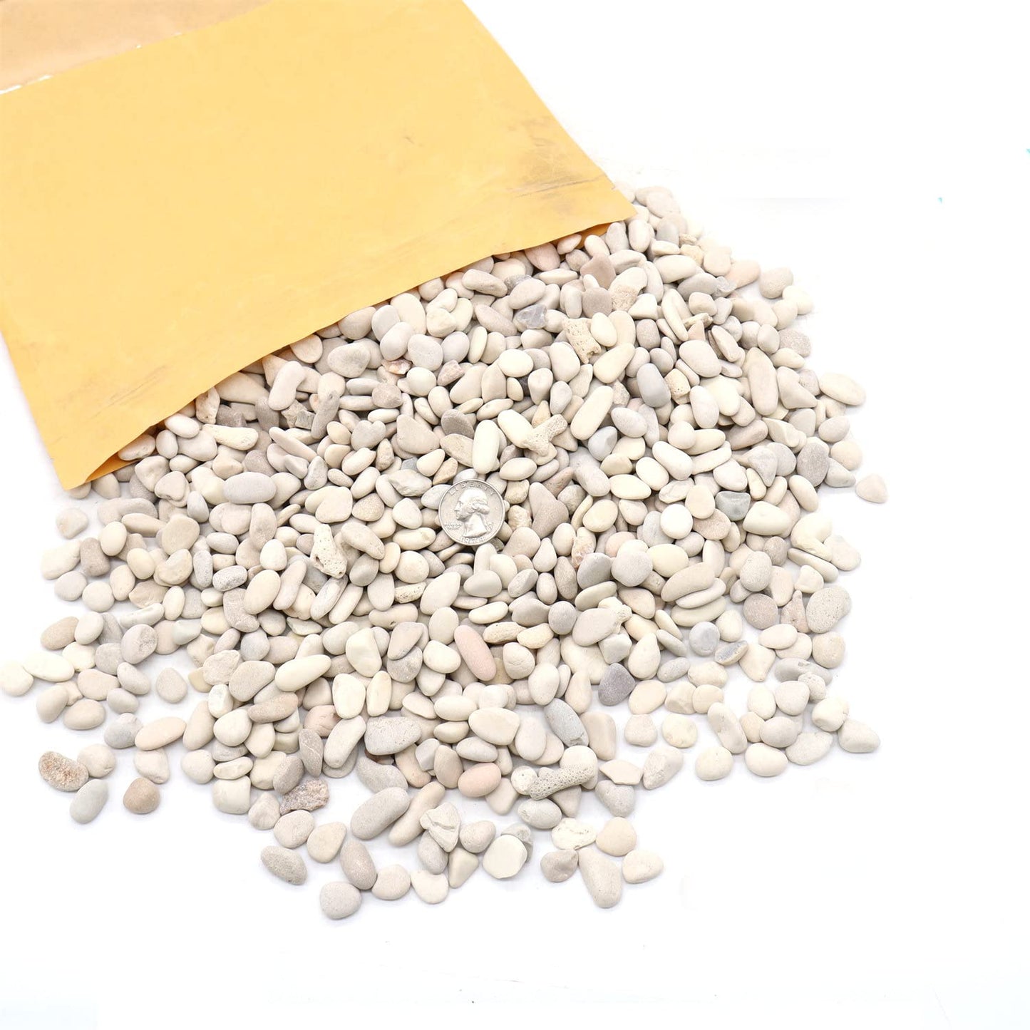 Premium Pebbles Rocks - Cream White Decorative Pebbles, 3/8 Inch - 10 lbs. Landscaping and Garden Stones, Suitable for Succulents and Pots