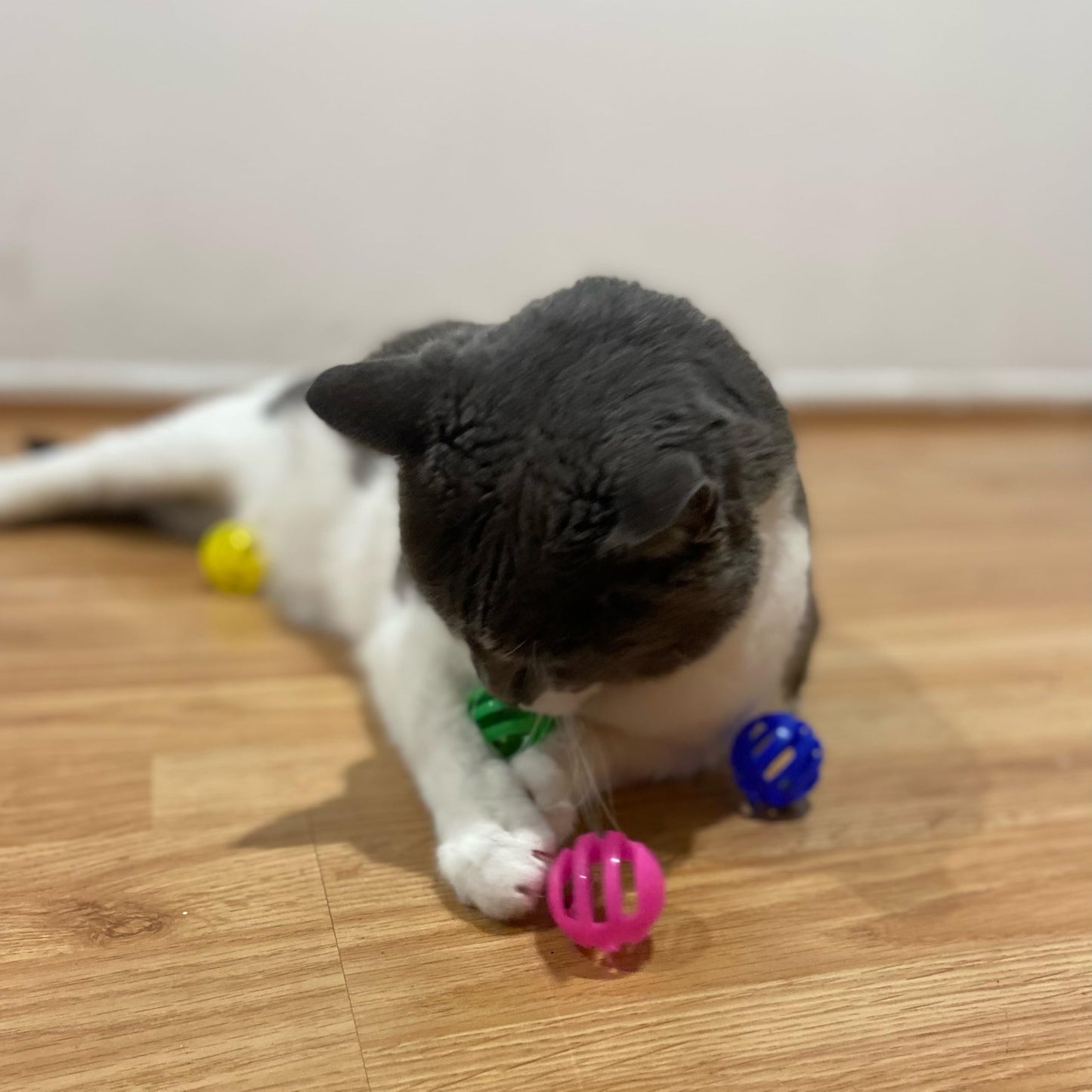 SPOT Slotted Balls Cat Toy - Interactive Cat Toys for Indoor Cats to Chase, Hunt and Stimulate - Jingle Bell Inside for Sound When Batted Around - Safe and Non-Toxic - 1.5" Assorted 4-Pack