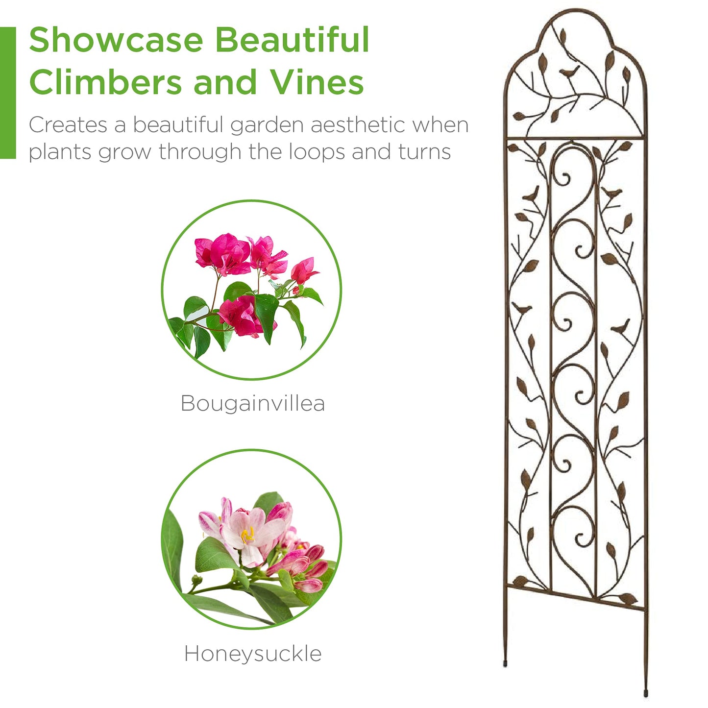 Best Choice Products 60x15in Iron Garden Trellis, Arched Outdoor Decoration w/Branches, Birds for Lawn, Garden, Backyard, Climbing Plants - Bronze