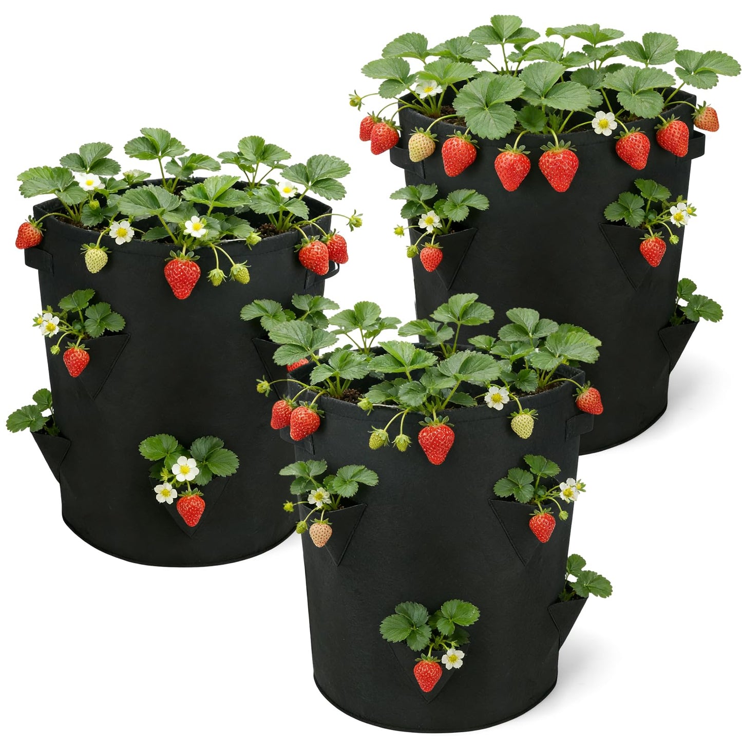 iwreaiy 10 Gallon Strawberry Grow Bags Fabric Plant Pots Gardening Bags for Plant Nursery Bag Tomato Strawberry Vegetable Planting Bag