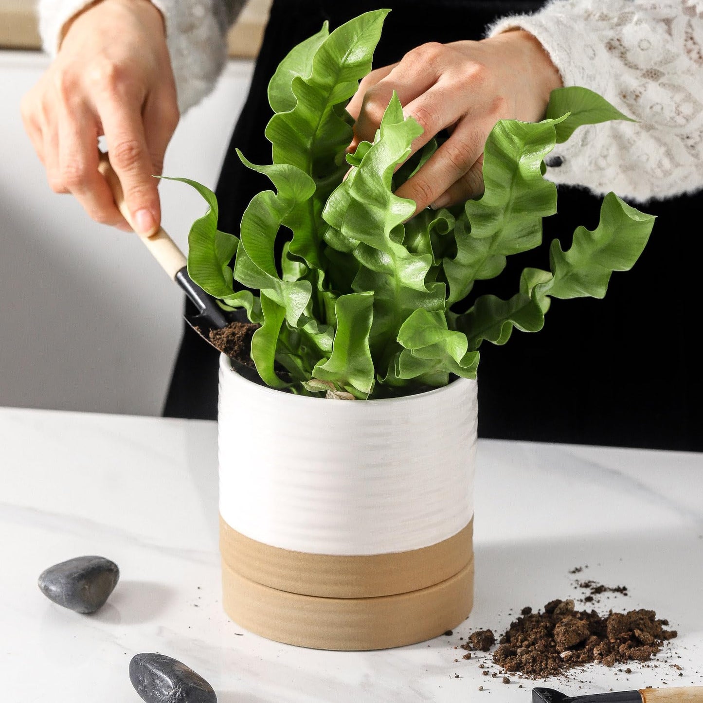 HASENSE Ceramic Plant Pots with Saucers Set of 4, 4.6 Inch Planters for Indoor Plants with Drainage Holes,Two-Tone White Flower Pots for Succulents, Snake Plants & Cactus, Farmhouse Desktop Decor