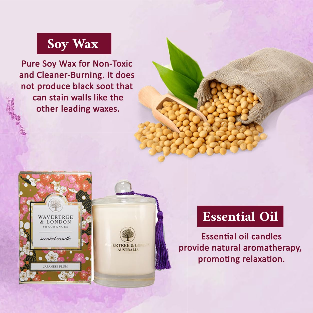 Wavertree & London Organic Japanese Plum Scent Soy Wax Candle | Non Toxic 100% Cotton Wick Triple Scented Pure Natural Soy Wax Candles, Hand Poured in Australia | 60 Hours Burning Time, 11.66 Oz