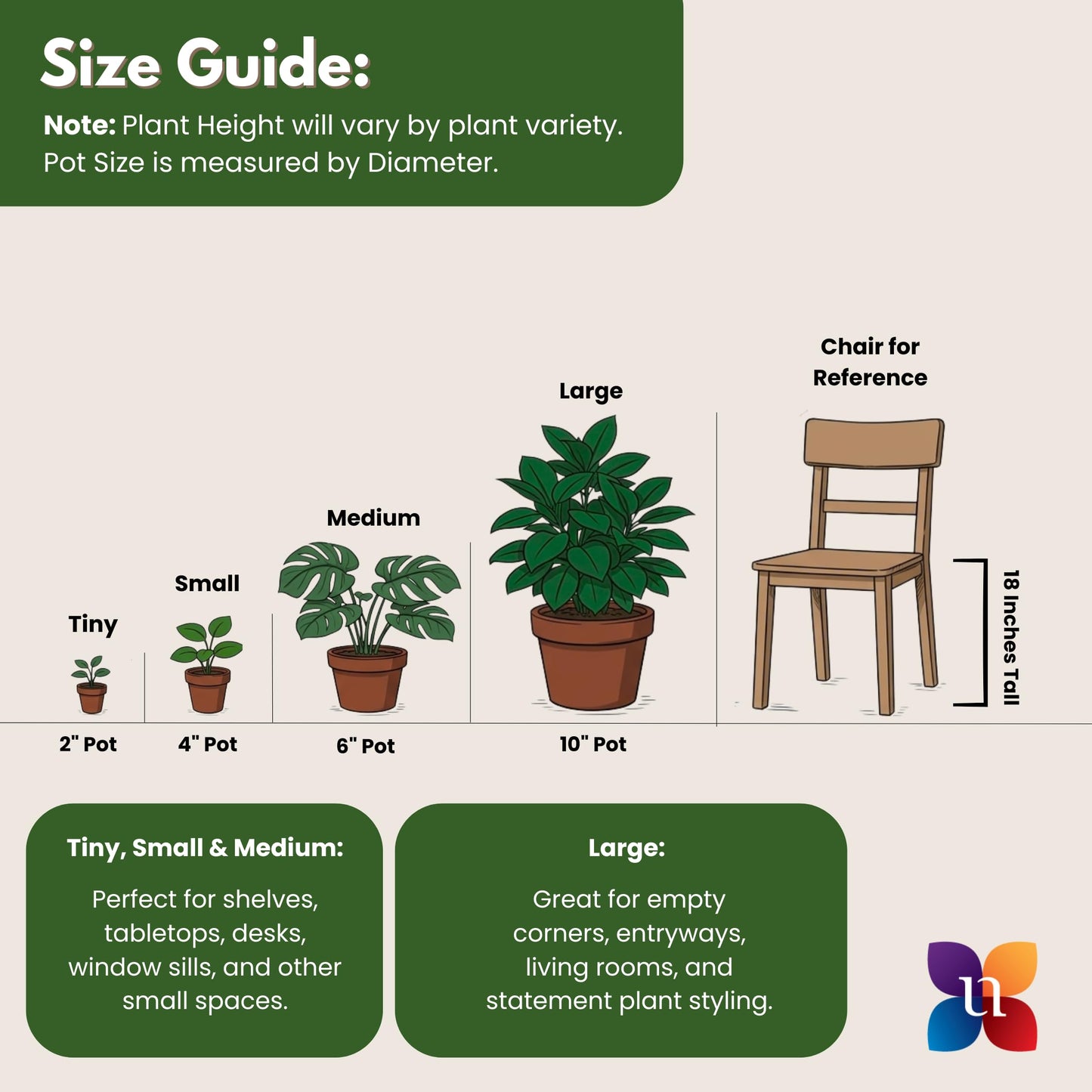 Majesty Palm Live Plant by United Nursery, Large Indoor House Plant, 32-36 inches Tall Tropical Palm Tree in Decorative Pot, Easy Care Large Floor Plant for Home Decor