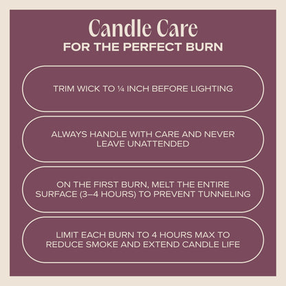 Companion Candles Sweater Weather Pet-Friendly Scented Candle – Smoked Vanilla & Cashmere Fragrance - Coconut Soy Wax Candle with Wooden Wick, Approx. 50-Hour Burn Time, Made in USA, 11.8 oz