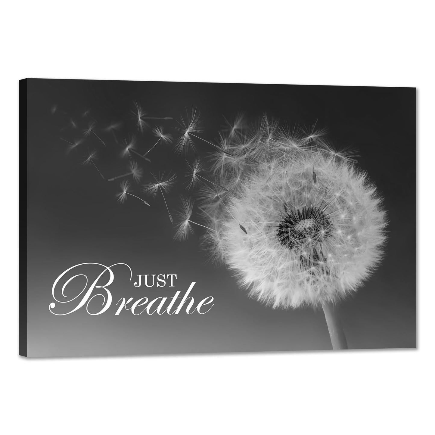 SKASNFAI Just Breathe Wall Art Zen Office Wall Decor Inspirational Yoga Quotes Positive Relax Artwork Picture Black and White Dandelion Posters Print for Meditation Room (12L x 16W)