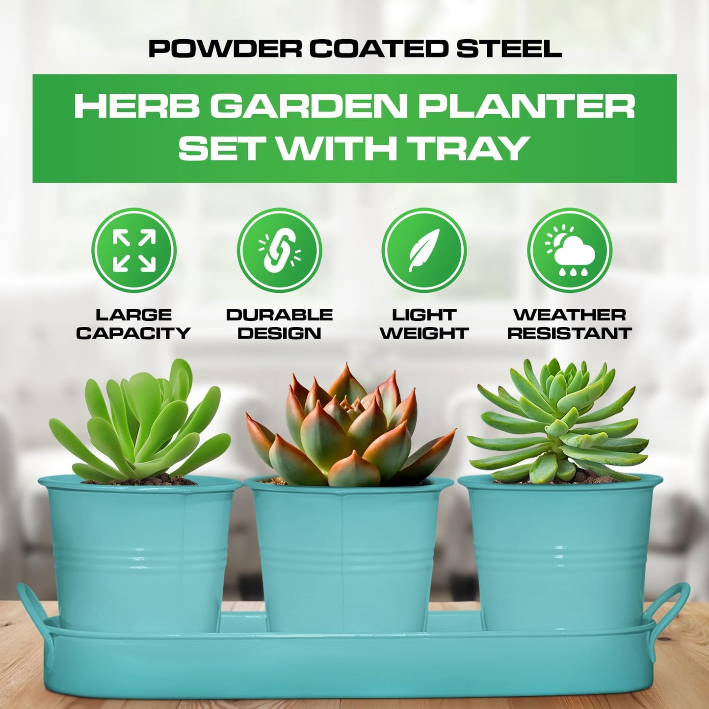 Plexon Herb Planter Indoor Garden Set of 3 with Tray, Metal Herb Pots for Indoor Plants, Round Kitchen Garden Kit Ideal for Windowsill Planter or Countertop, Aqua Mist Blue Powder Coated