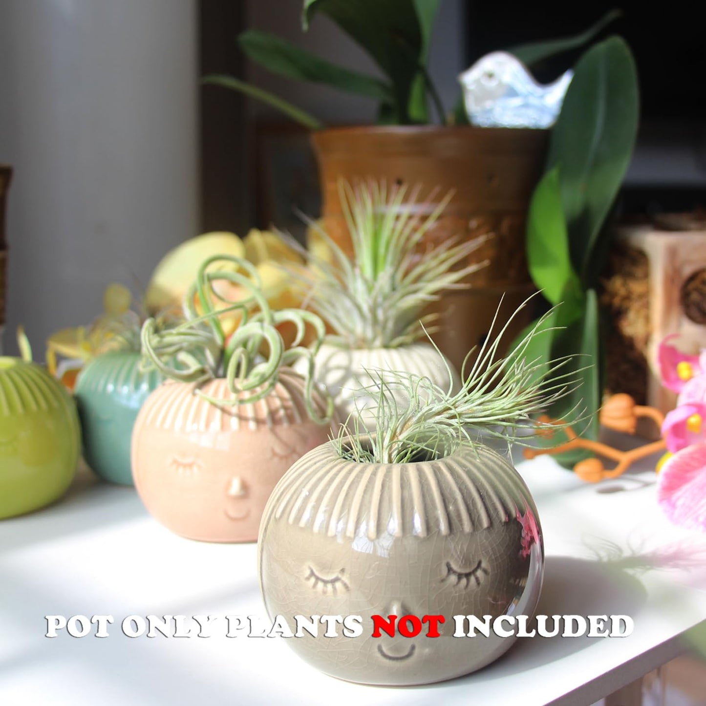 SCSFCVIUS Air Plant Holder Ceramic Planter - 4PCS Porcelain Cute Air Plant Pot Planter Tillandsia Airplants Holders Home Decor (4 Cute Holders)