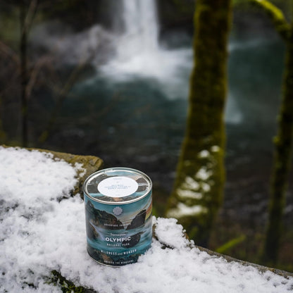 Ethics Supply Co. Olympic National Park Candle - Luxury Scented Candle, Driftwood, Cedarwood & Woodsy Balsamic, 55-Hour Burn Time, Clean Wax, Phthalate-Free, Cruelty-Free - 12oz