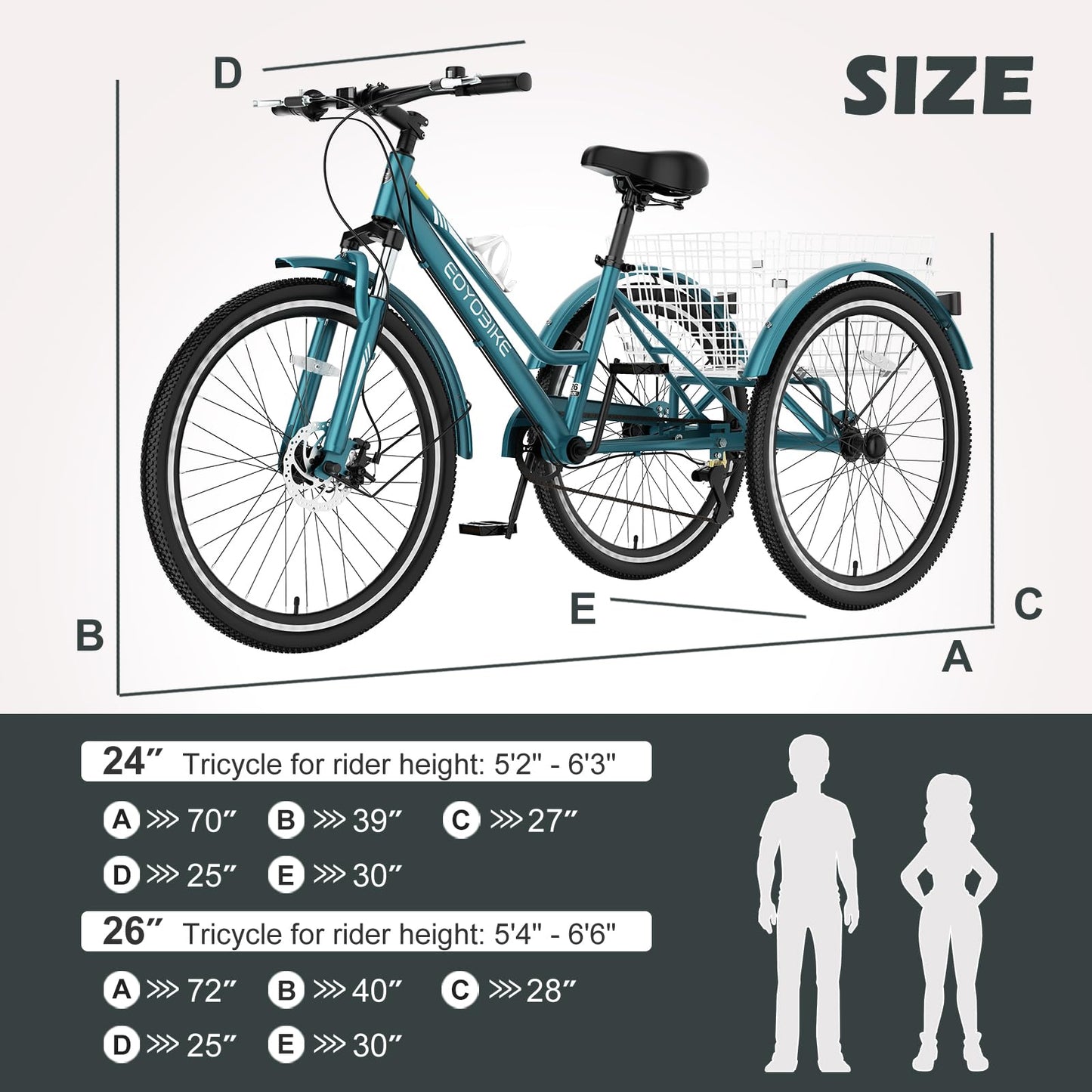 ABORON Adult Mountain Tricycle, 7-Speed 3-Wheel Mountain Bikes 24/26/27.5inch Available, Front Suspension, Disc Brake (Step-Through Peacock Green, 24" Wheels)