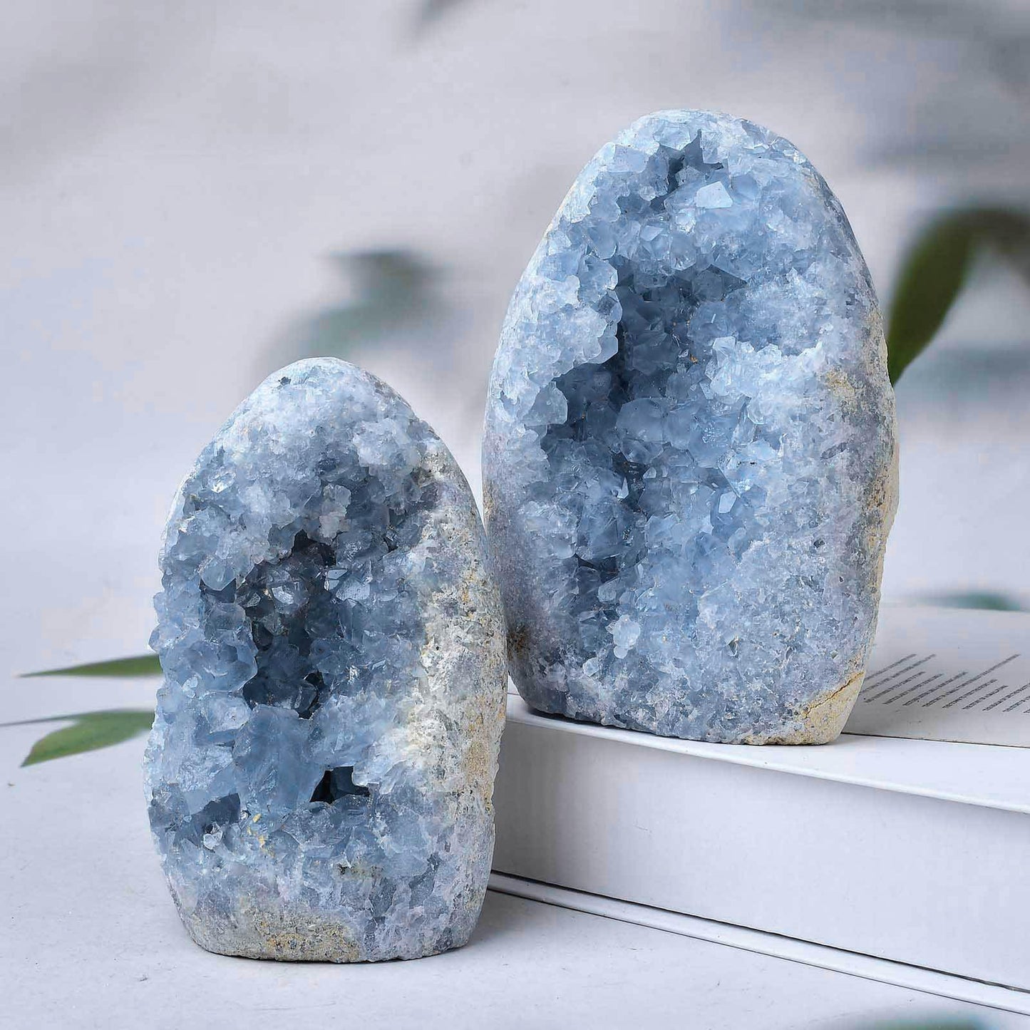 FZBHRO Natural Blue Celestite Cluster Geode Healing Crystal Stone Collection Mineral Specimen Home Office Decor Meditation Gifts 0.6-0.8 Pound