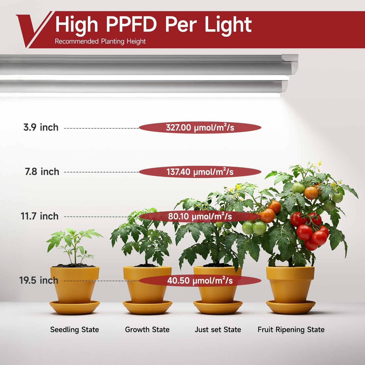 VShape 2 Pack LED Grow Light 2FT, 5000K Full Spectrum, 48W(2 x 24W), Linkable Growing Lamp Fixture, T8 Grow Lights for Indoor Plants, Seed Starting, Vegetables