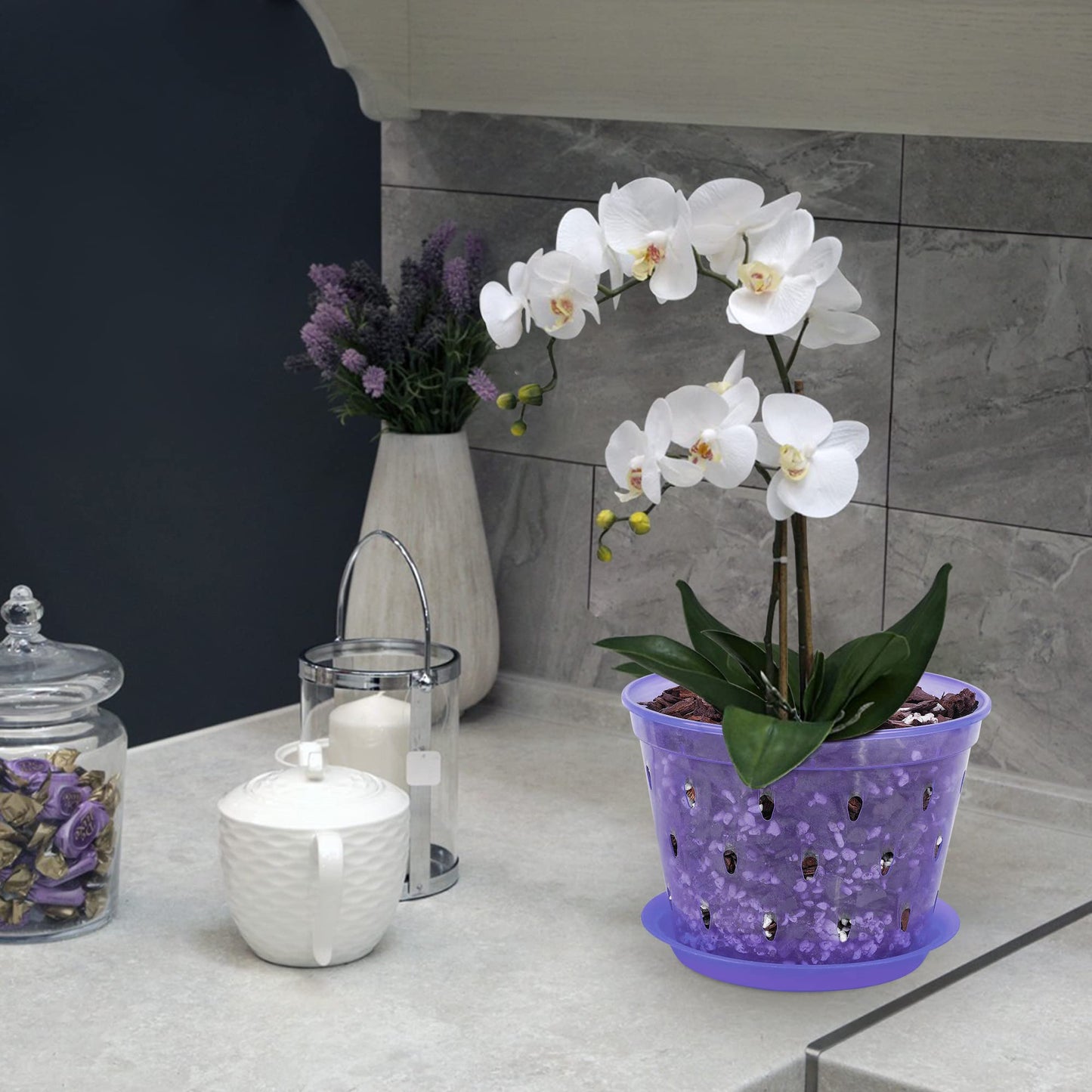 lanccona Orchid Pot, 6.7 Inch 8 Pack Orchid Pots with Holes and Saucers,Plastic Orchid Planter - Purple Amethyst