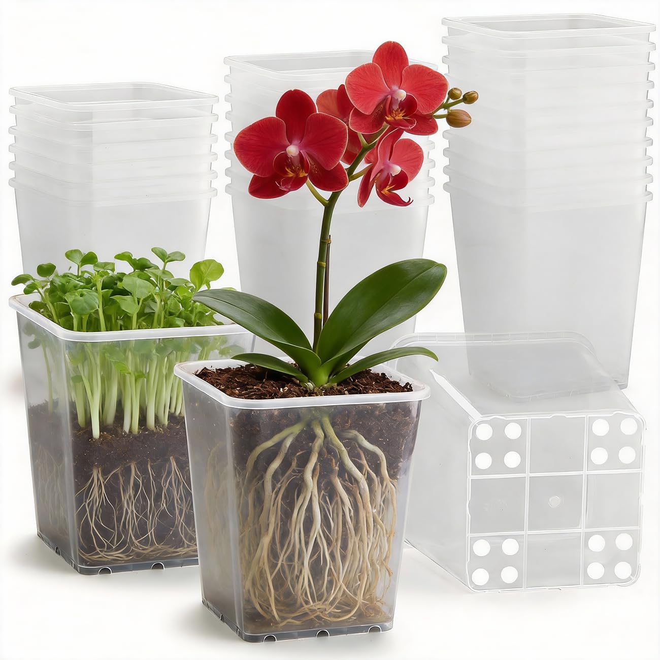 Nursery Pots 6 Inch 40 Pcs, Plastic Seed Starting Pot with Drainage Holes, Sturdy Seedling pots for Planting, Cuttings, Clear