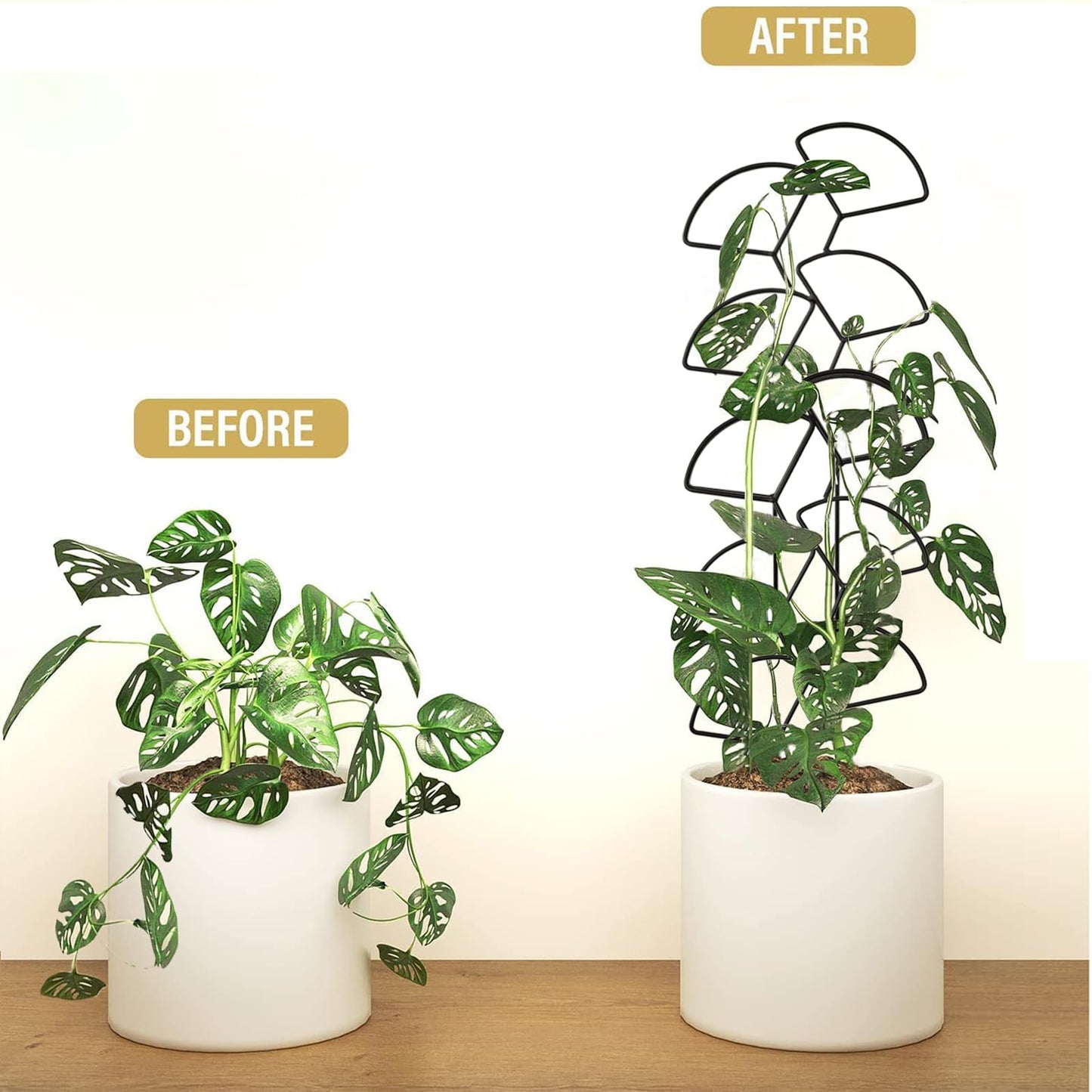 IA Garden Indoor Plant Trellis for Climbing Plants, 3 Pack Stackable Garden Trellis for Potted Plants, Small House Plant Trellis for Vine Ivy Flower Plant Support Outdoor DIY Metal Trellis, Black