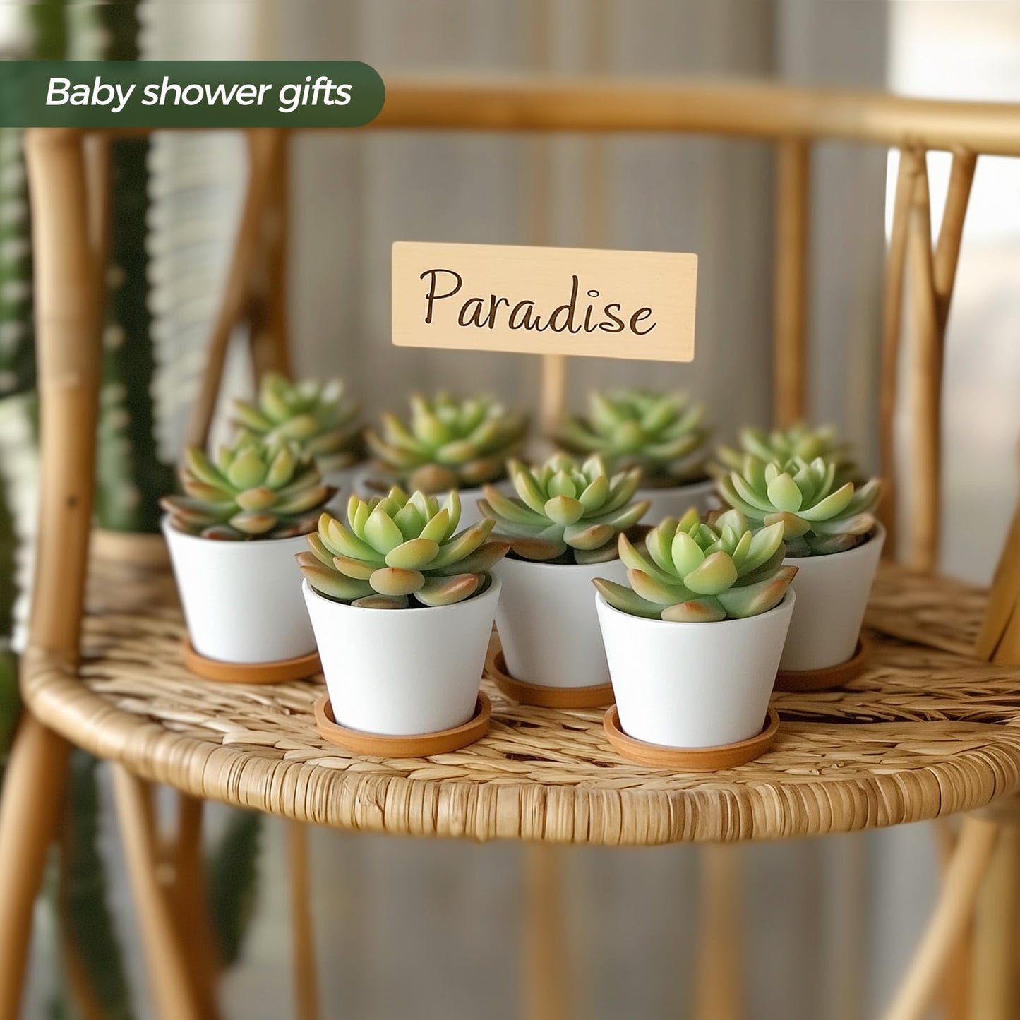 T4U 2.5 Inch Mini White Succulent Planter Pots with Bamboo Tray Round Set of 12, Tiny Ceramic Succulent Air Plant Flower Pots Cactus Faux Plants Containers, Gifts for Plant Lover, Home Office Decor