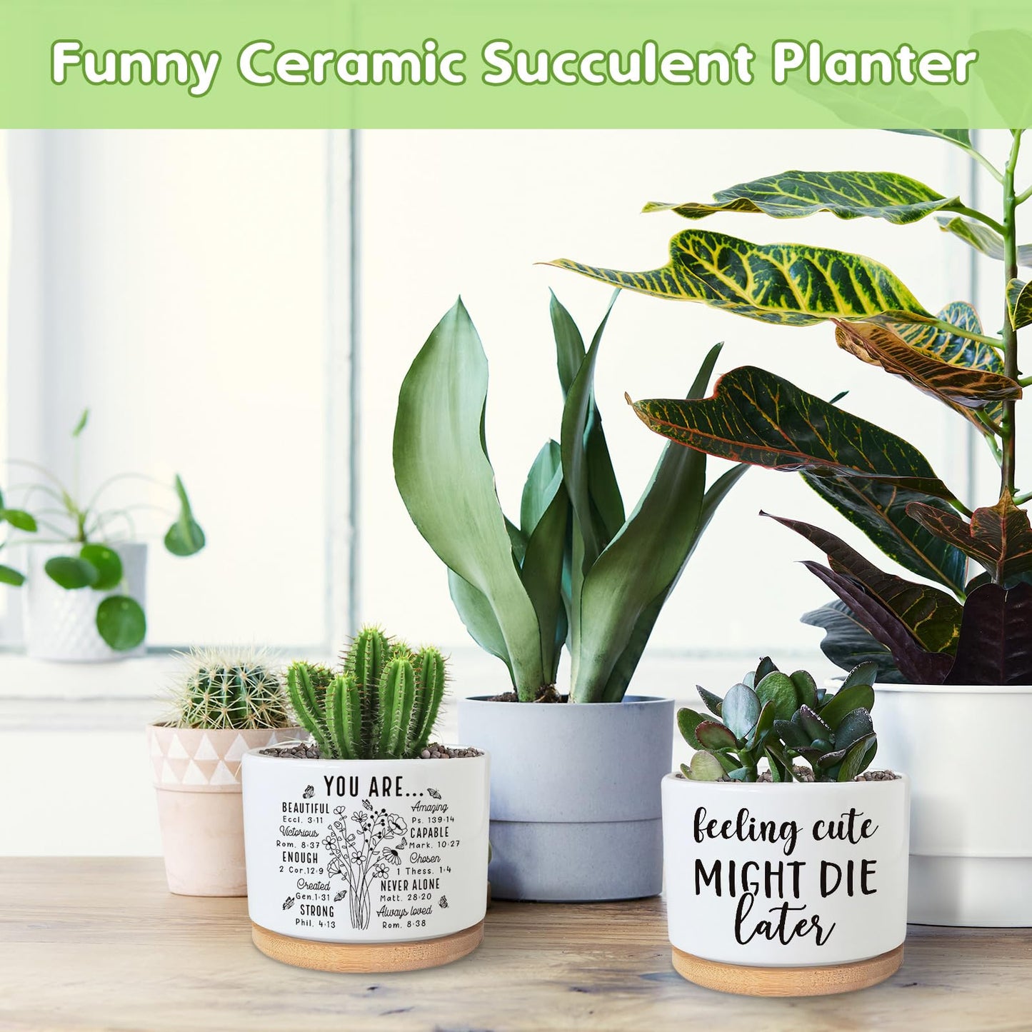Funny Succulent Plant Pot, Cute 3.5 Inch Small Ceramic Cactus Plant Pot with Drainage, Home Office Desk Planter Pot for Friends Planter Lovers Birthday Christmas Housewarming Gifts (No Plants)