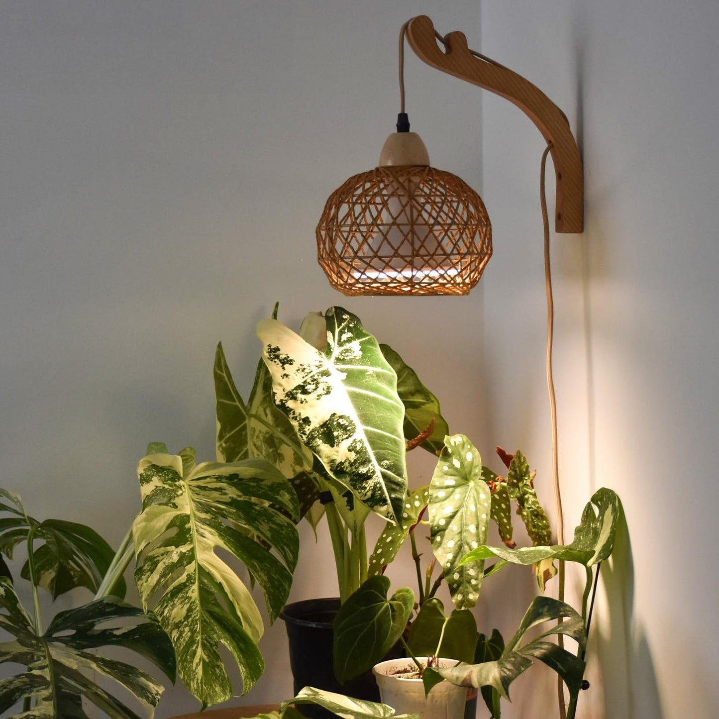 Bstrip Hanging Grow Lights for Indoor Plants, 18W Full Spectrum Plant Light, Boho Rattan Lantern Shade, 3800K Wall-Mounted Decorative Grow Light with 9.8FT Power Cord for Indoor Plant Growing, Flowers