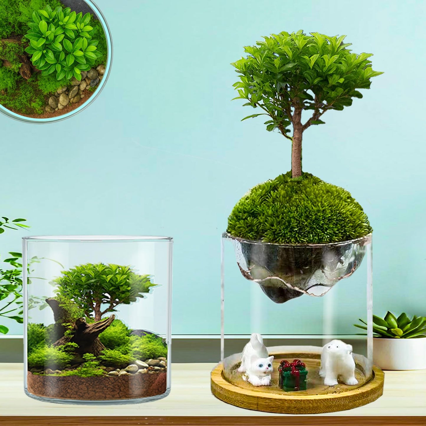 Versatile Plant Propagation Station Vase Hydroponic Planter Pot,Glass Plant Terrarium Kit,Fresh Indoor Herb Garden Kit| Christmas Birthday Gift for Gardener Women Mom Garden Lover | Home Office Decor