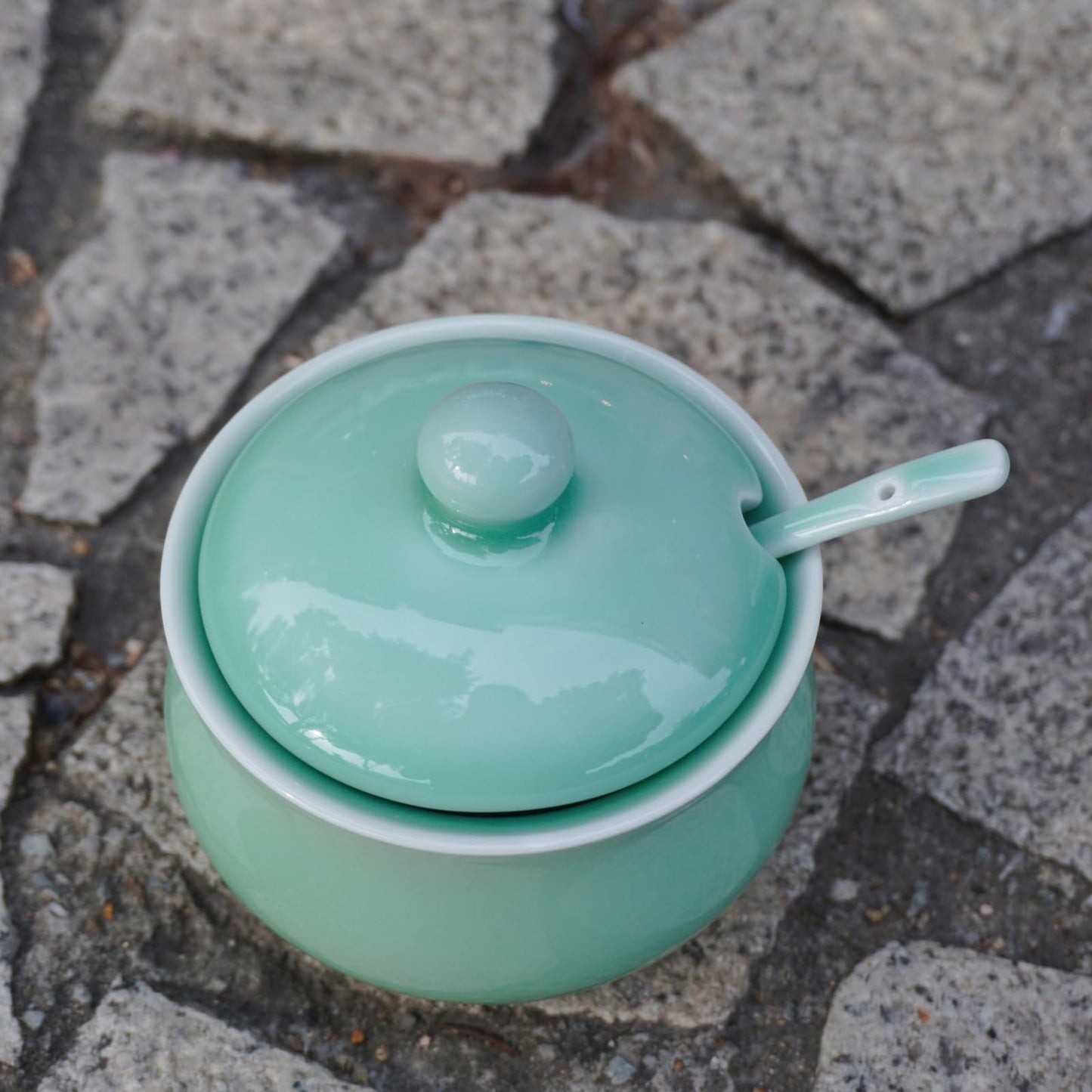 Tingyework Porcelain Salt Cellar with Lid and Spoon, 4.4 oz Salt Container Sugar Bowl for Spice & Seasonings, Elegant Kitchen Counter Decor, Chinese Celadon (Light Green)