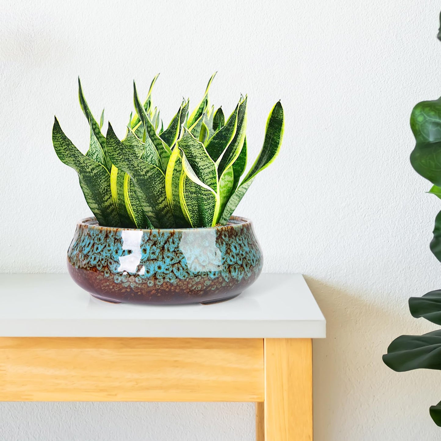 ARTKETTY Succulent Pots - 8 Inch Plant Pot, Large Bonsai Pots with Drainage, Ceramic Planters for Indoor Outdoor Plants, Round Shallow Cactus Flower Plant Container Bowl Decorative Home Garden