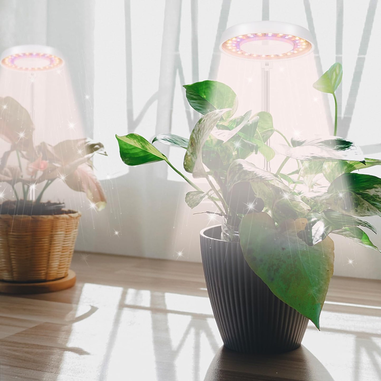 GooingTop LED Grow Light, Halo Plant Growing Lamp for Indoor Plants Growth, Full Spectrum Low Light for Small Plants,Timer 4/8/12/18 Hrs & Variable Spectrum White Red Blue,3 Pack
