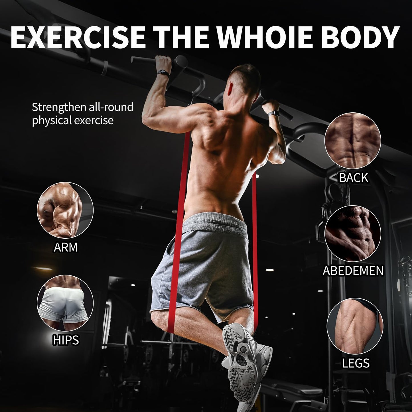 CFX Resistance Bands for Working Out,Pull Up Assistance Bands,Workout Bands for Exercise,Elastic Bands for Body Stretching,Crossfit Training at Home/Gym for Men & Women