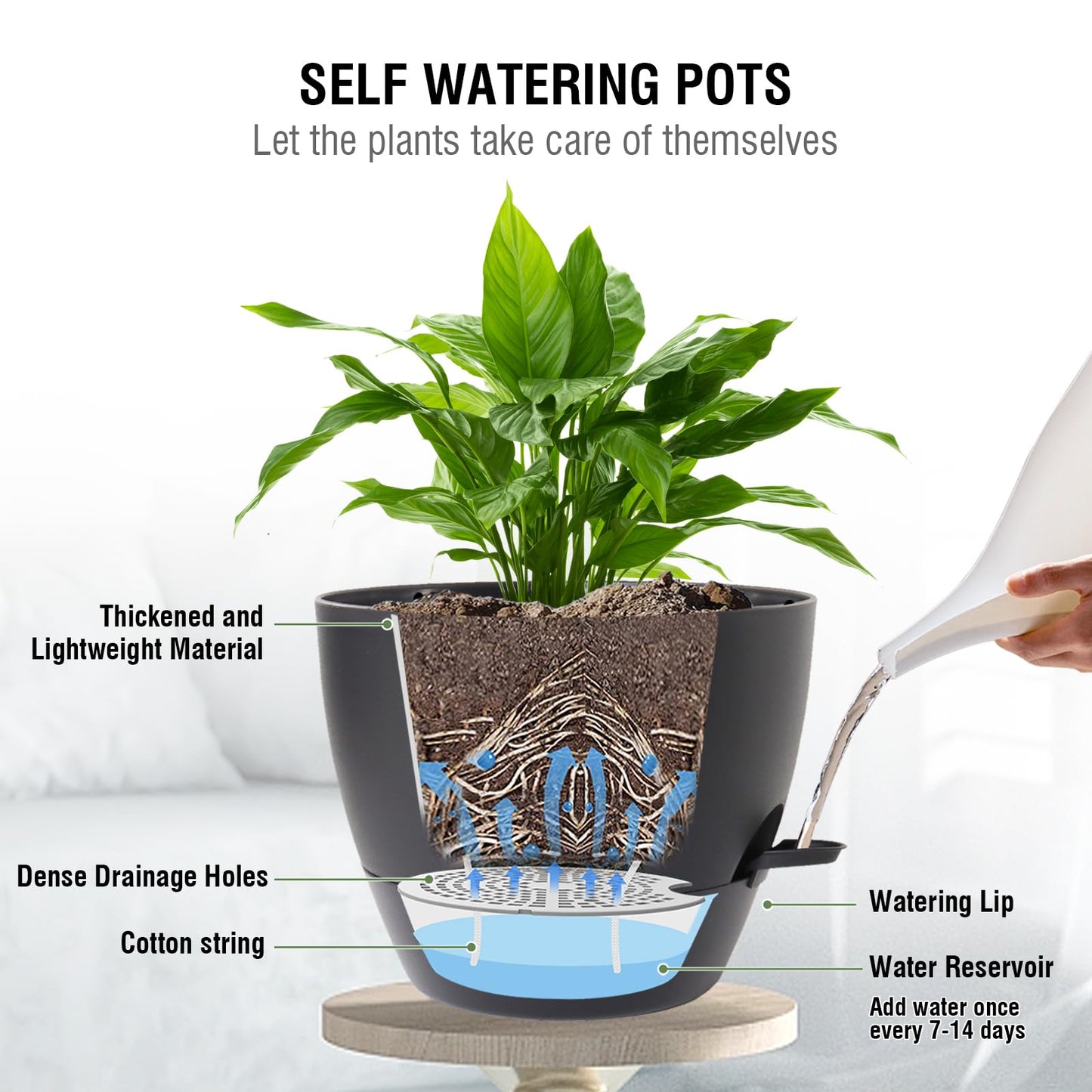 Meowell 10 inch Self Watering Hanging Planters, 2 Pack Hanging Baskets for Indoor Outdoor Plants, Hanging Flower Pots with Drainage Holes & 2 Kinds of Plant Hangers for Garden Home Decor, Black