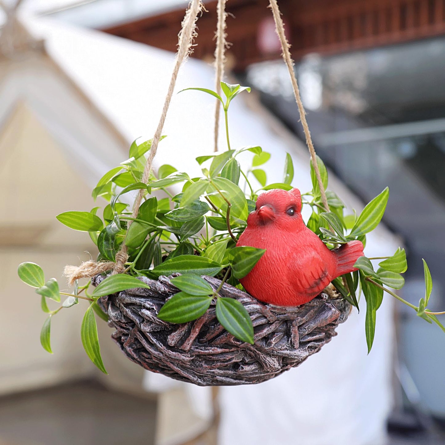 NINIPAPA Hanging Planters for Plants Swing Funny Bird Nest Plant Pots, Cute Outdoor Indoor Garden Succulent Flower Pot with Drainage, Unique Gift on Birthday, Christmas