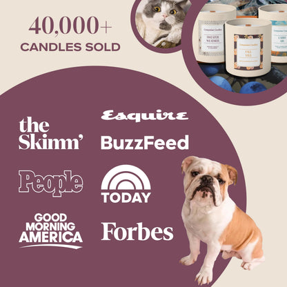 Companion Candles Sweater Weather Pet-Friendly Scented Candle – Smoked Vanilla & Cashmere Fragrance - Coconut Soy Wax Candle with Wooden Wick, Approx. 50-Hour Burn Time, Made in USA, 11.8 oz