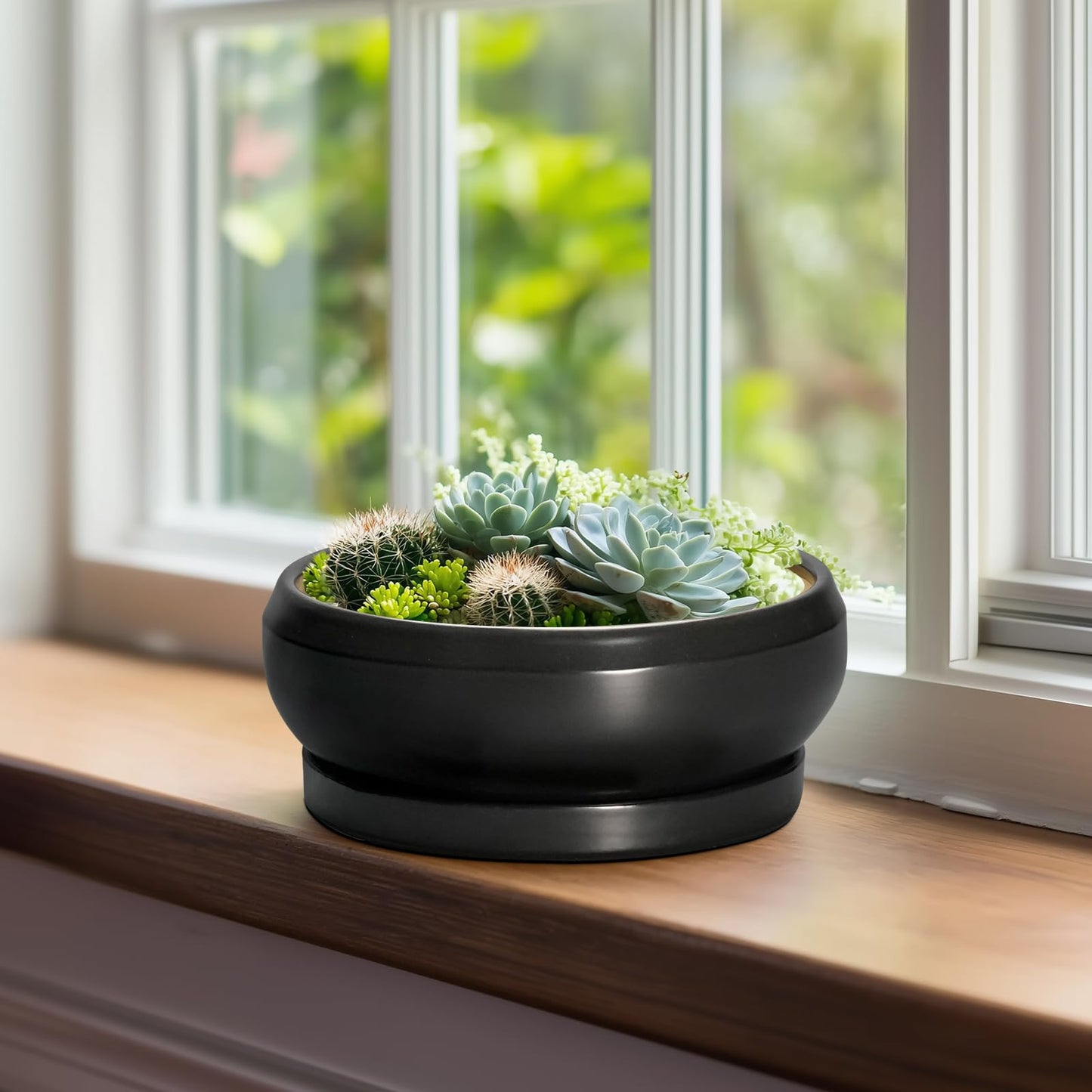 EPFamily Succulent Planters 8 Inch - Ceramic Bonsai Pots for Indoor Outdoor, Round Succulent Pots with Drainage Hole and Saucer, Modern Shallow Planter Bowl, Garden Home Decor, Birthday Gifts, Black