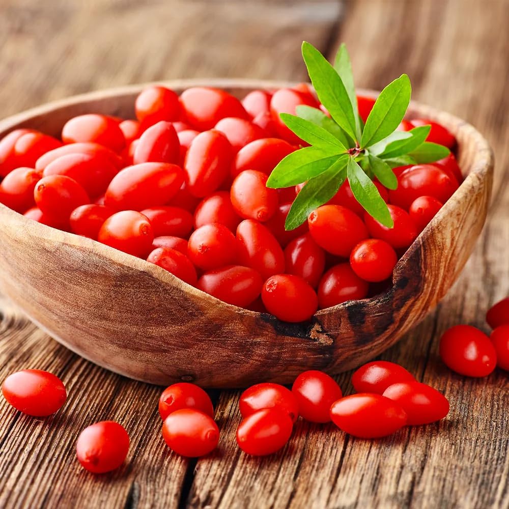 5-9" Tall Goji Berry Plant Live for Planting, Red Goji Berry Tree Live Plant, Well-Rooted