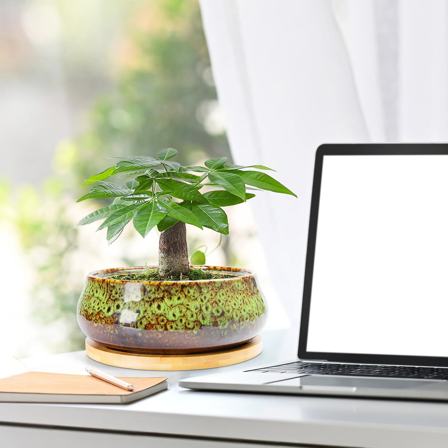 ARTKETTY Succulent Pots - Ceramic Bonsai Pots with Drainage, Large Shallow Succulent Planters for Indoor Outdoor Plants, Round Glazed Cactus Flower Plant Container Bowl Home Desk Decor