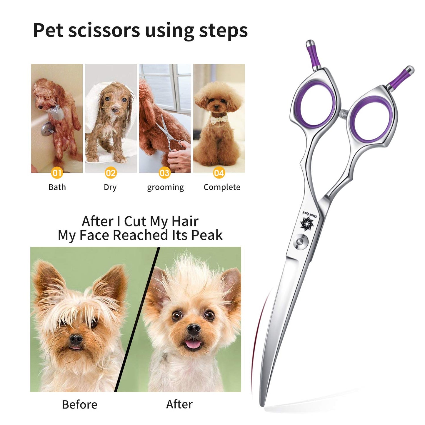 Dream Reach Professional 6.5 Inch Dogs Grooming Curved Scissors, Purple Pet Downward Curved Shears for Cat and Small Dog Shears Or Any Breed Trimming Cuts, Design for Professional Groomer