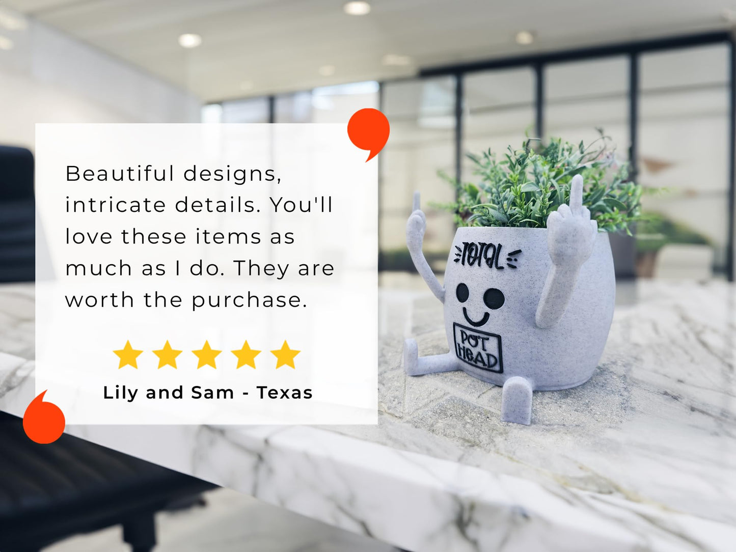 Funny Face Head Planter Pot, Unique Small Succulent Flower Pot, Cute Cactus Planter, Indoor Outdoor Home Decor, Office Desk Plant Pot, Novelty Gardening Gift Set (Please Don't Die, Medium)