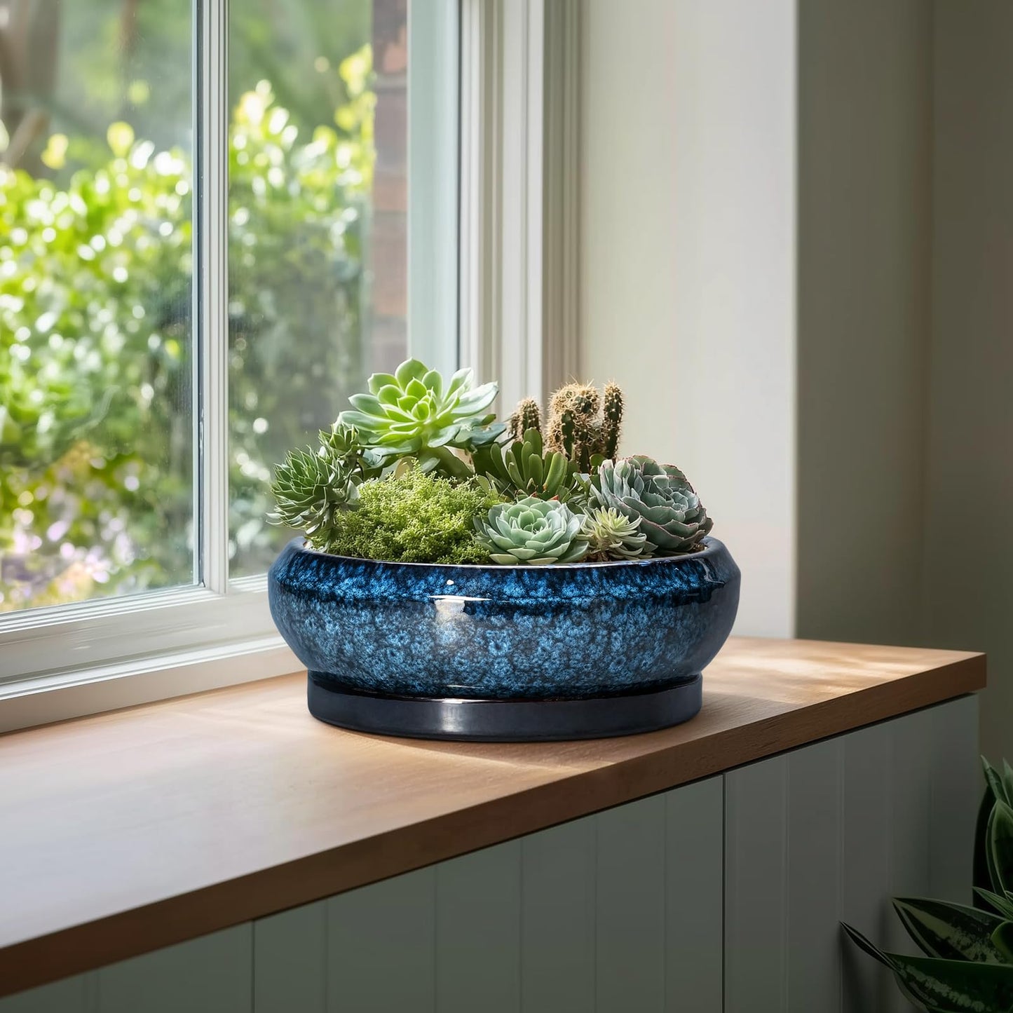 EPFamily Bonsai Pots - 13 Inch Ceramic Succulent Pots for Indoor Outdoor, Large Succulent Planter with Drainage Hole and Saucer, Round Shallow Flower Planters, Porch Decor, Gardening Gifts, Blue