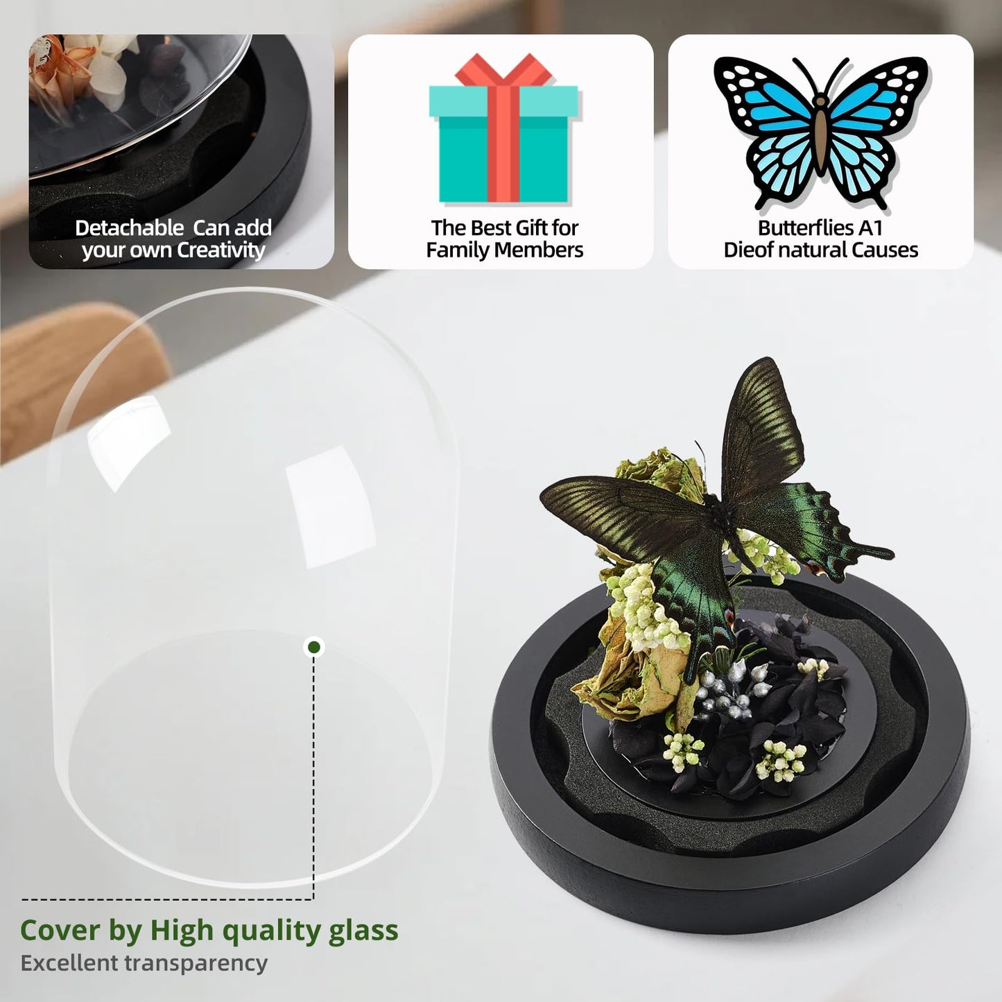 GDBEH Handmade Butterfly Specimen Boxes Glass Cover Ornaments, Dried Flowers, Plants, Holiday Decorations Birthday Gift for Women (Green-Banded Queen Butterfly)
