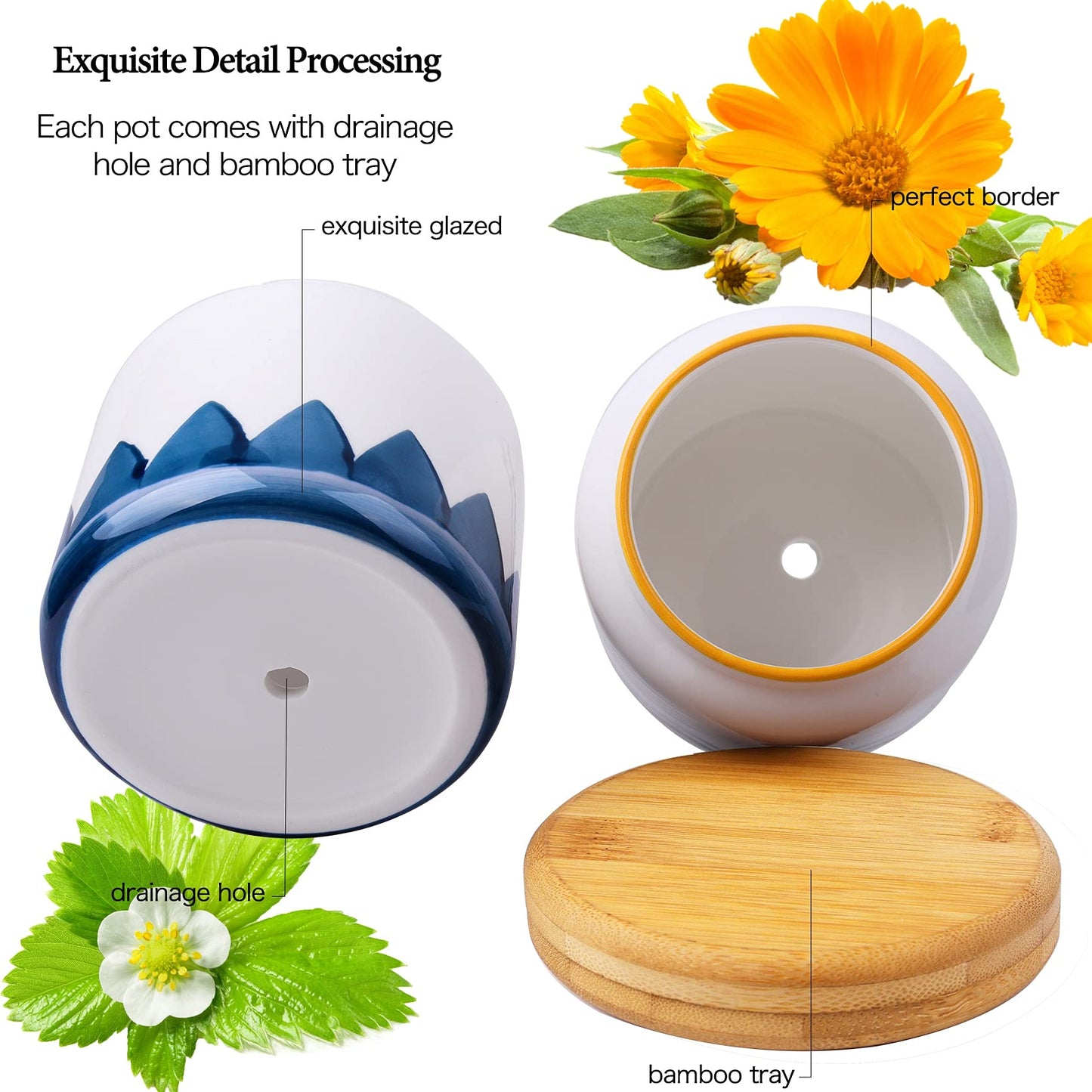 Succulent Pots, 3.5 Inch Small Succulent Planters with Drainage for Plants Live, Hand-Painted Ceramic Pot Flower Pots Bonsai Pots with Bamboo Tray, Unique Gifts for Women/Men, 4 Pack (Abstract)
