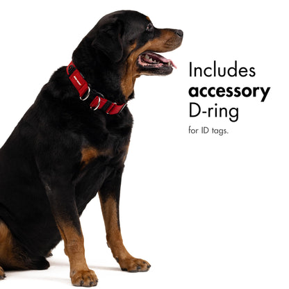 EzyDog Double Up Dog Collar - Reflective Dog Collar with ID Tag D-Ring, For Small to Large Dogs - Soft-Touch, Reflective, Durable - For Active Pets