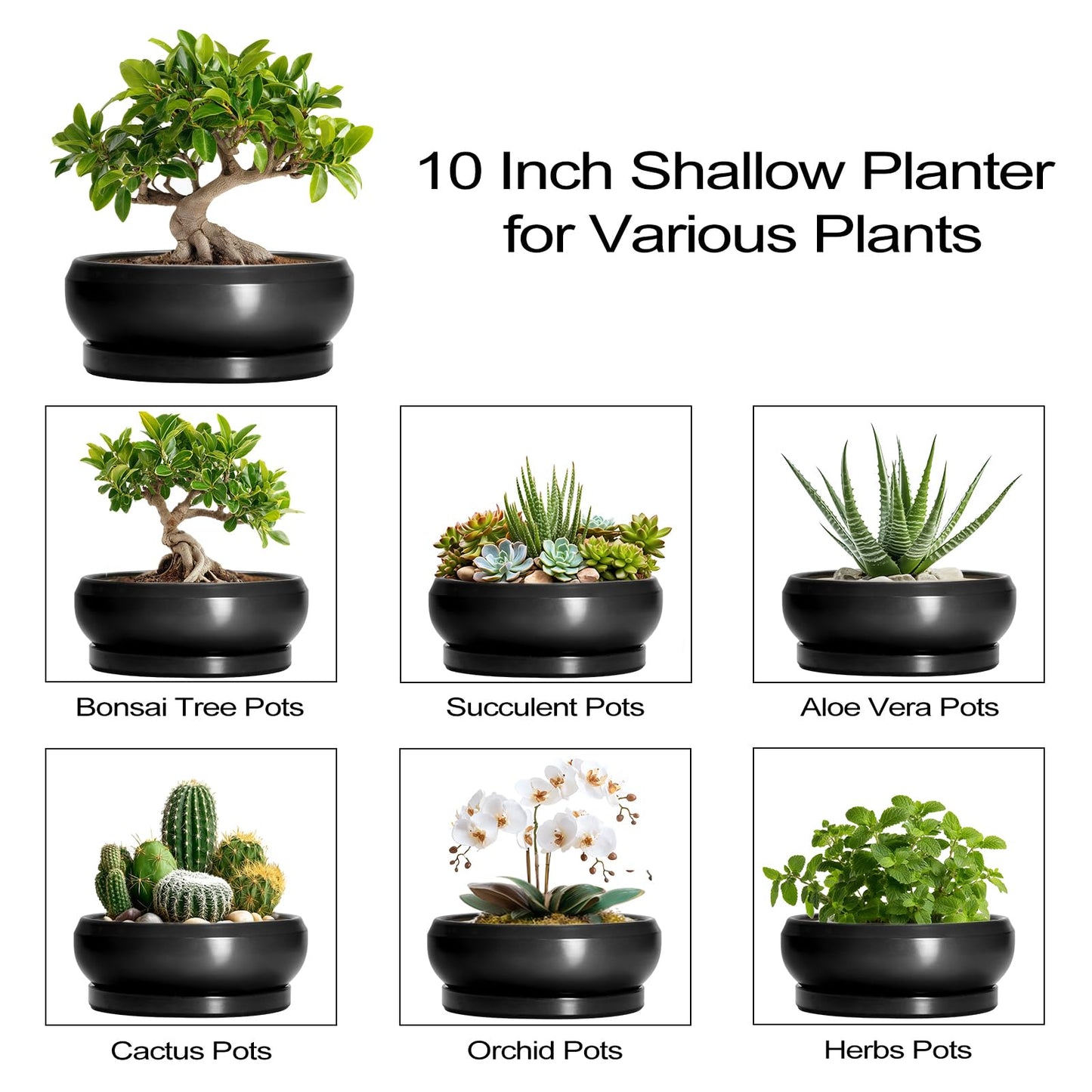 EPFamily Bonsai Pots 10 Inch - Ceramic Succulent Planters Indoor Outdoor, Bonsai Pots with Drainage Hole and Tray, Modern Shallow Planter, Round Bowl Planter, Garden Decor, Garden Gift, Black