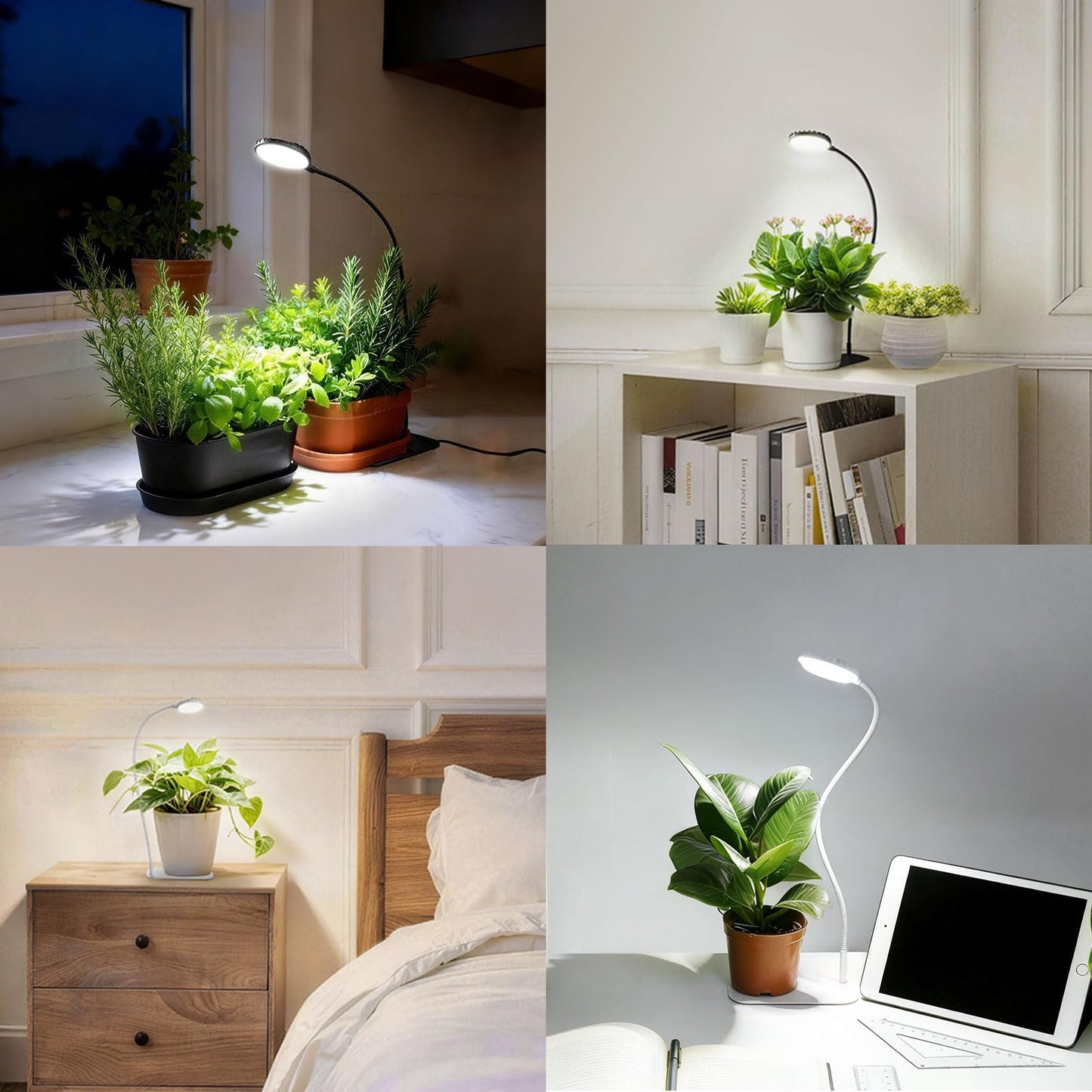 SGLEDs Desktop Plant Grow Light,12w Growing Lamps High Ppfd,Full Spectrum Desk Growth Light with Automatic Timer,4 Dimmable Levels（Black）